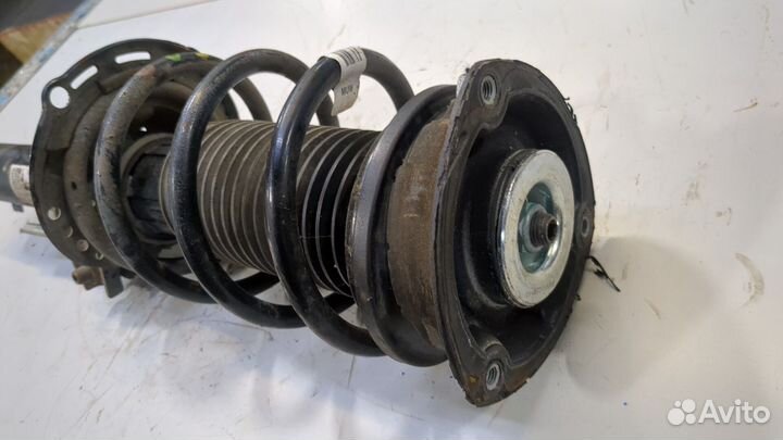 Амортизатор подвески Skoda Kodiaq, 2022