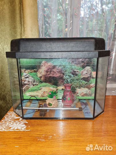 Аквариум