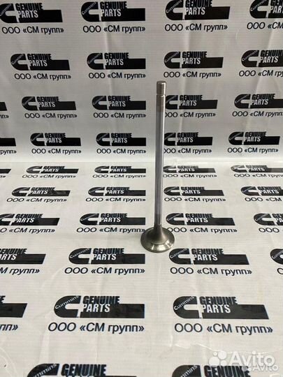 Клапан впускной Cummins ISX15 QSX15