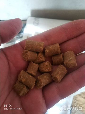 Полнорационный корм для собак