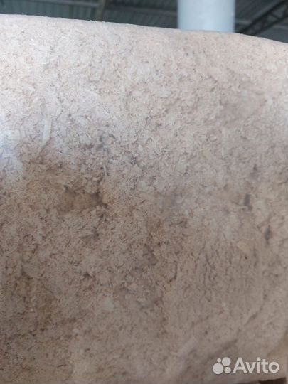 Подстил из липы от производителя