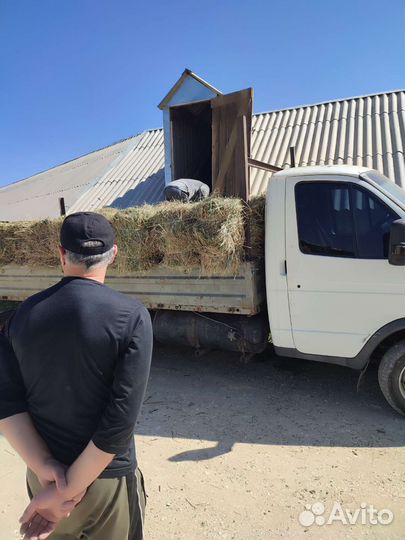 Сено.Комышь.Солома рисовая