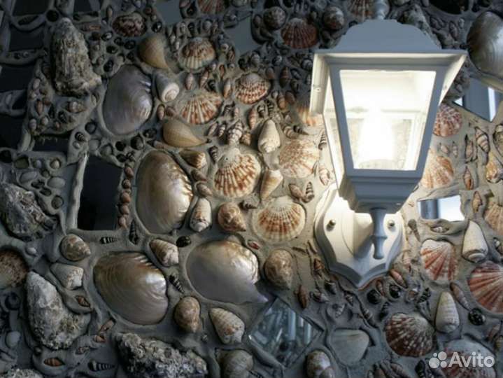 Ракушка Гребешок(скафарка)