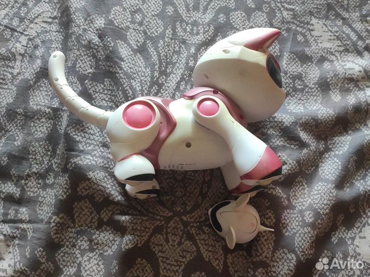 Робот-кошка Teksta kitty