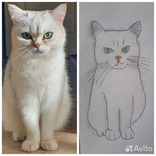 Рисую ваших питомцев