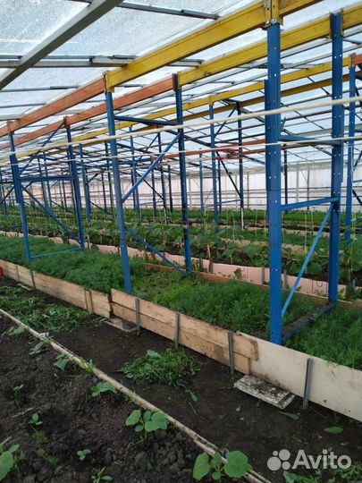 Продается тепличный комплекс. Теплицы 2500 кв. м