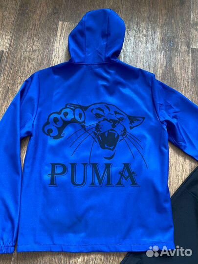 Детские спортивные костюмы виндстопер