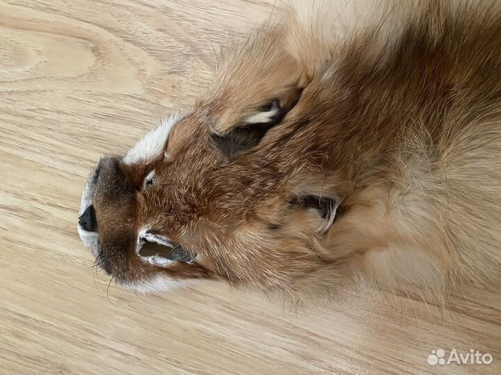 Горжетка / мех / шкура лисы