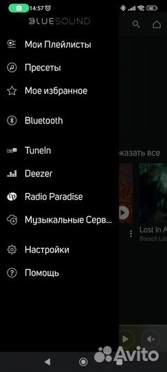 Сетевой медиаплеер Bluesound Node 2i