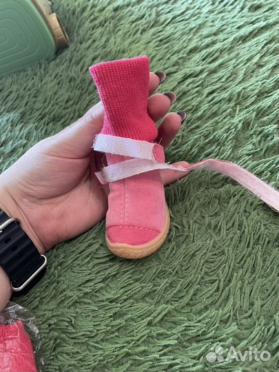 Обувь для маленьких собак