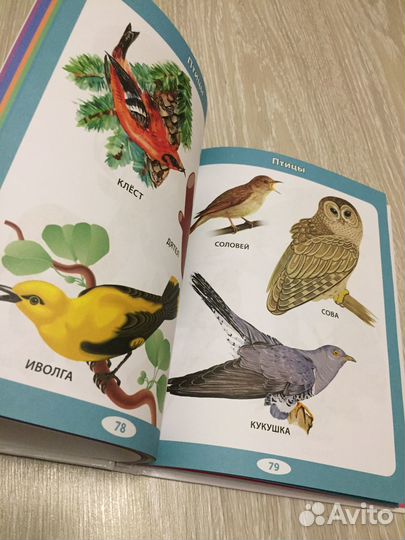 Первая детская энциклопедия от 6 месяцев до 3 лет