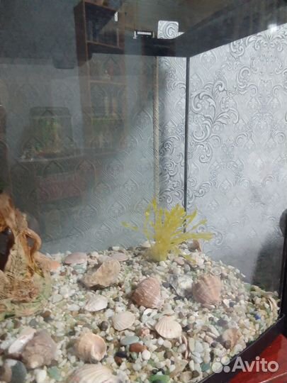 Аквариум б/у на 100-120 литров
