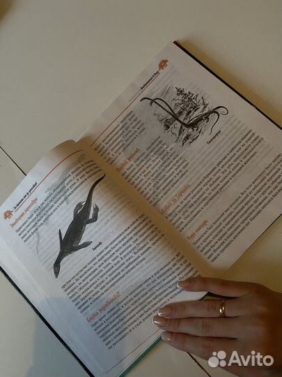 Книги про динозавров