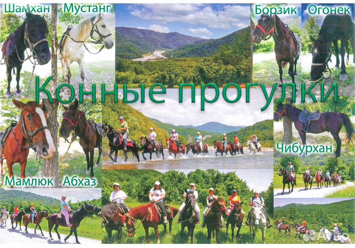 Инструктор- конюх