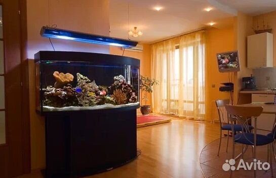 Изготовление, обслуживание и ремонт аквариумов