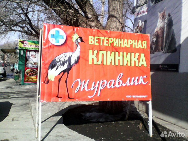 Ветеринарные услуги