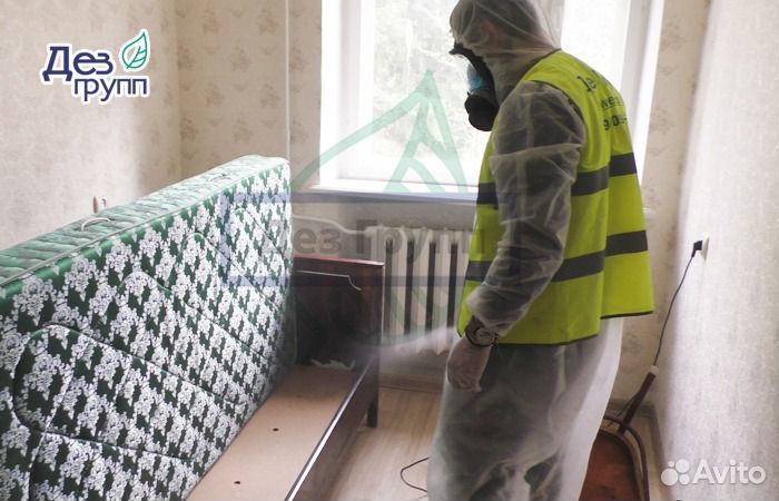 Дезинфекция