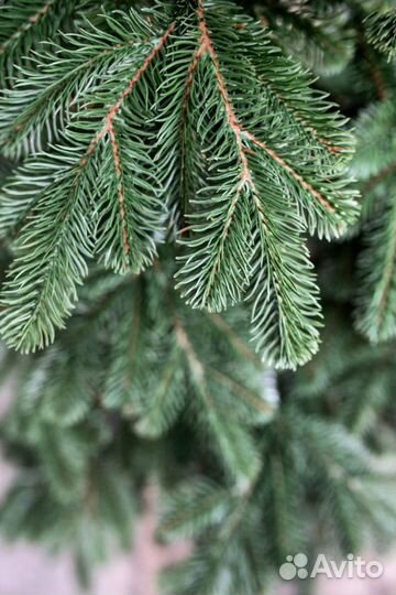 Елка искусственная Литая 