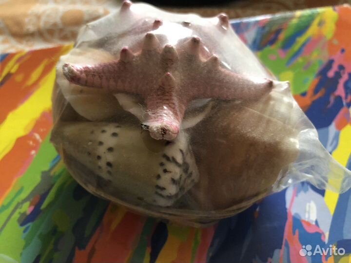 Набор морских гадов