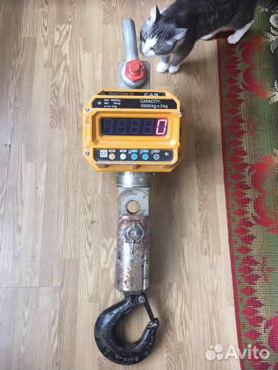 Крановые весы до 10 тонн. Аренда, прокат