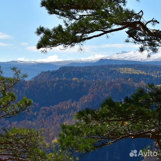 Тур в Адыгею на ноябрьские праздники из Ростова