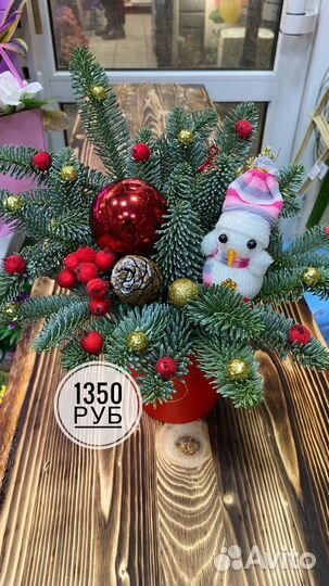 Композиции из нобилиса