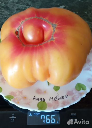 Семена коллекционных томатов