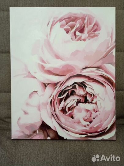 Картина «Пионы»