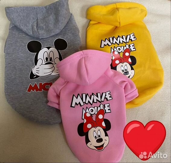 Одежда для собак