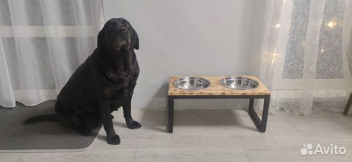 Миски для собак с подставкой