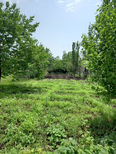 Участок 8 сот. (СНТ, ДНП)