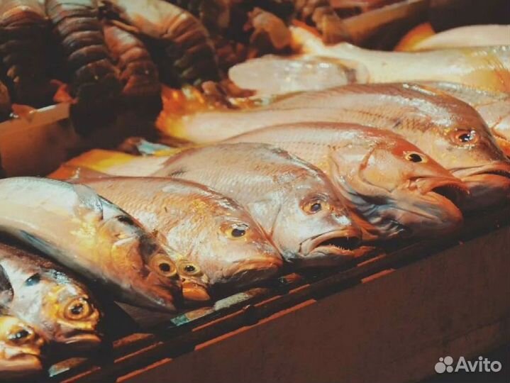 Готовый бизнес – рыбный магазин с прибылью