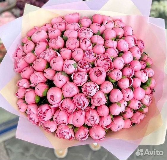 Пионы Букет