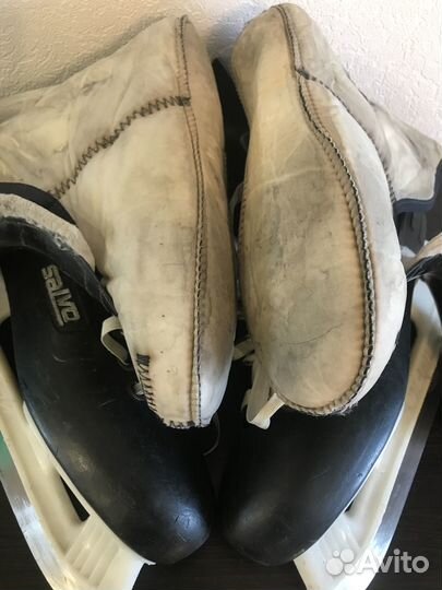 Коньки сальво