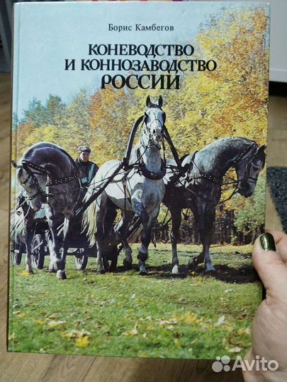 Коневодство и коннозаводство России