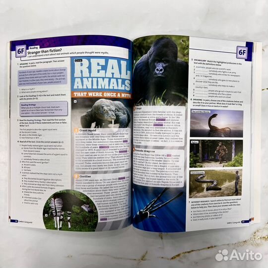 Solutions Elementary third edition новые учебники