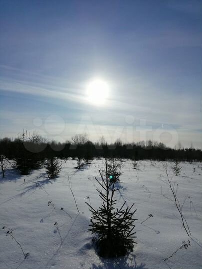 Участок 4,7 га (ИЖС)