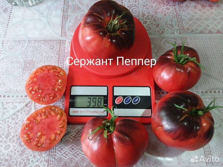 Семена томатов