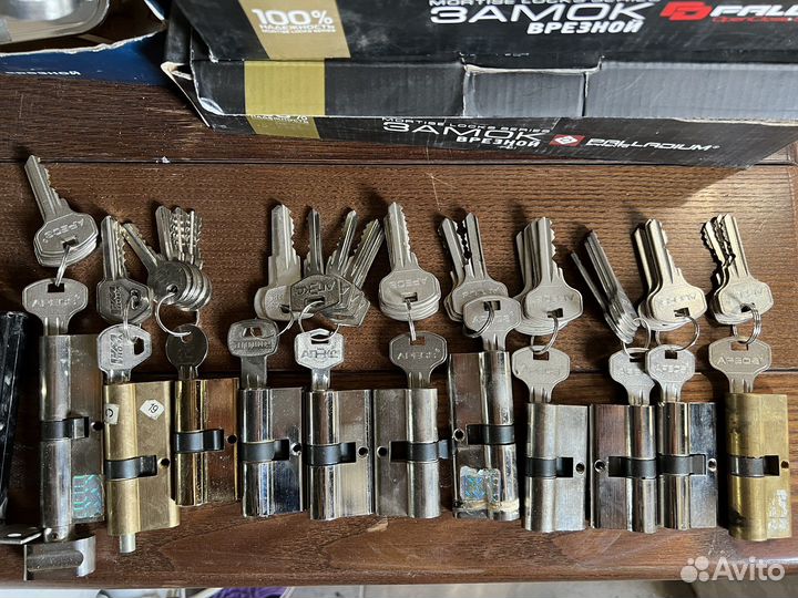 Замок цилиндрический личинка