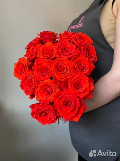 Роза нина голландия