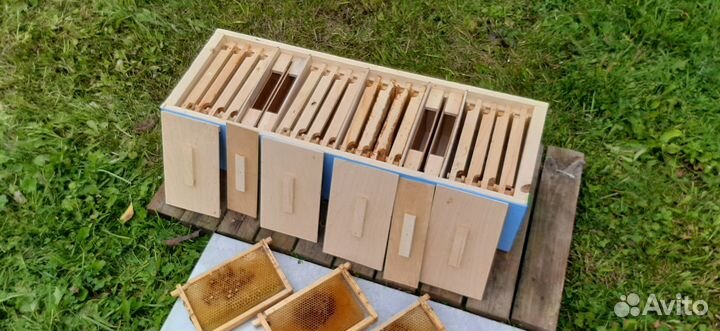 Нуклеусы деревянные