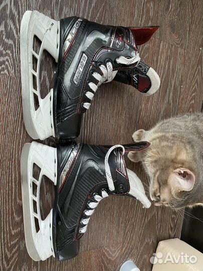 Хоккейные коньки bauer