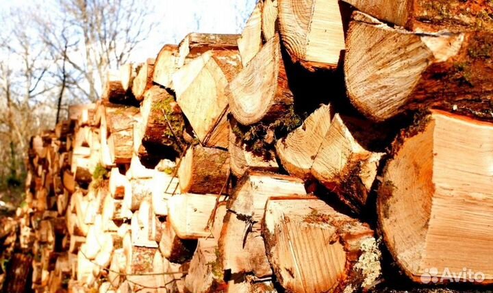 Дрова в город
