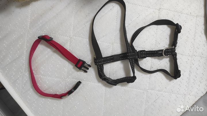 Шлейка, ошейник и подгузники для собак