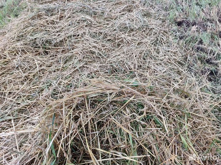 Солома с сеной