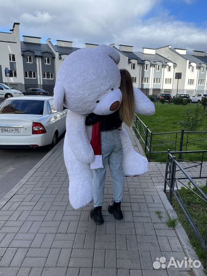 Плюшевый медведь 170-175