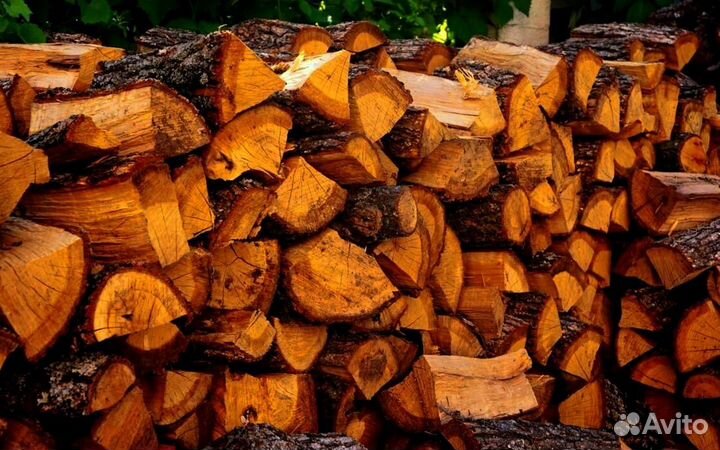 Береза на выбор