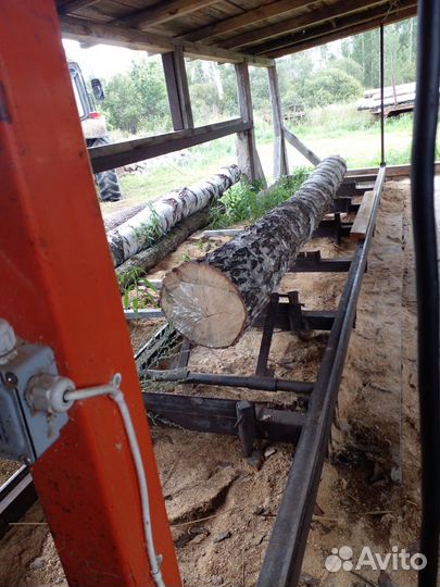 Пилорама дисковая