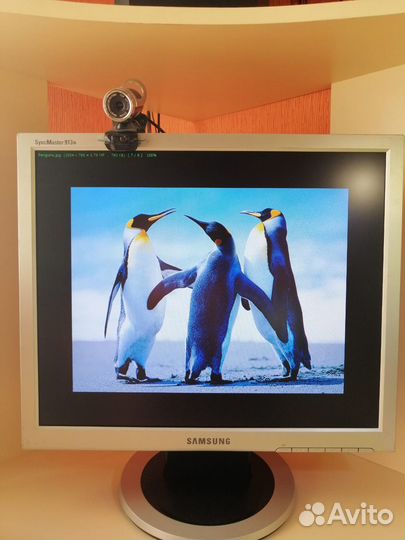 Монитор Samsung syncmaster 913N