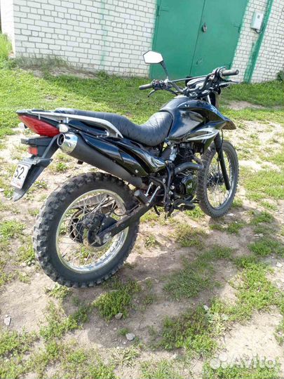 Зид 250